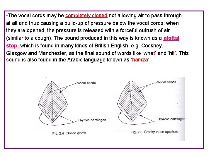 -The vocal cords may be completely closed not allowing air to pass through at