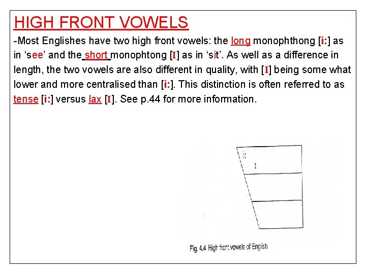 HIGH FRONT VOWELS -Most Englishes have two high front vowels: the long monophthong [i: