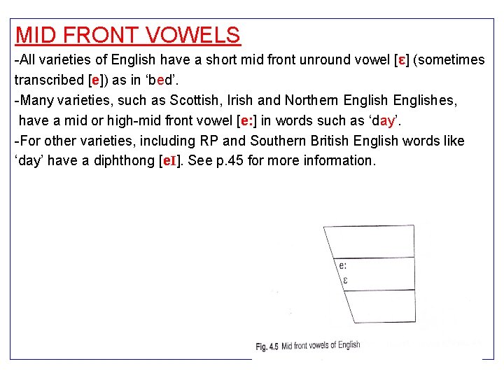 MID FRONT VOWELS -All varieties of English have a short mid front unround vowel