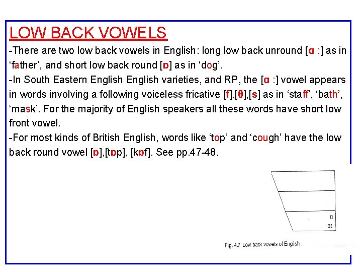 LOW BACK VOWELS -There are two low back vowels in English: long low back