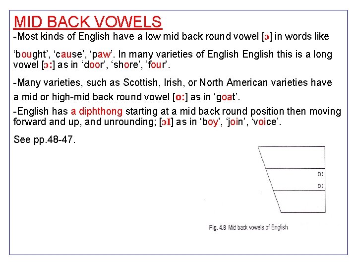 MID BACK VOWELS -Most kinds of English have a low mid back round vowel