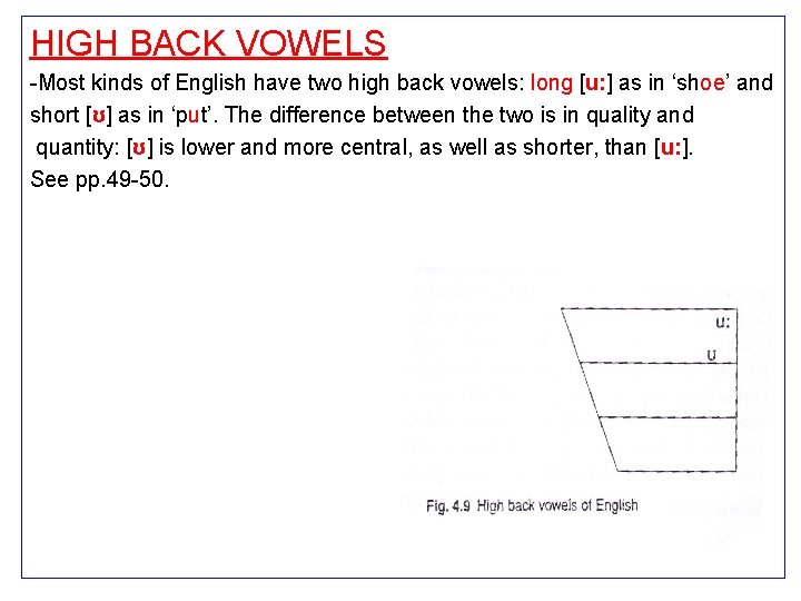 HIGH BACK VOWELS -Most kinds of English have two high back vowels: long [u: