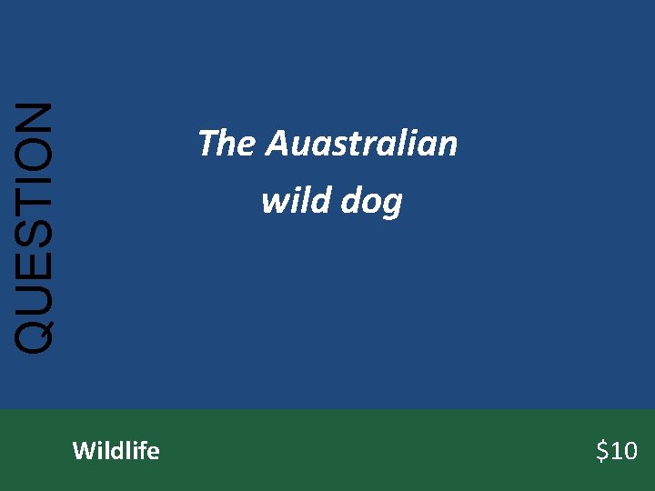 QUESTION The Auastralian wild dog Wildlife $10 