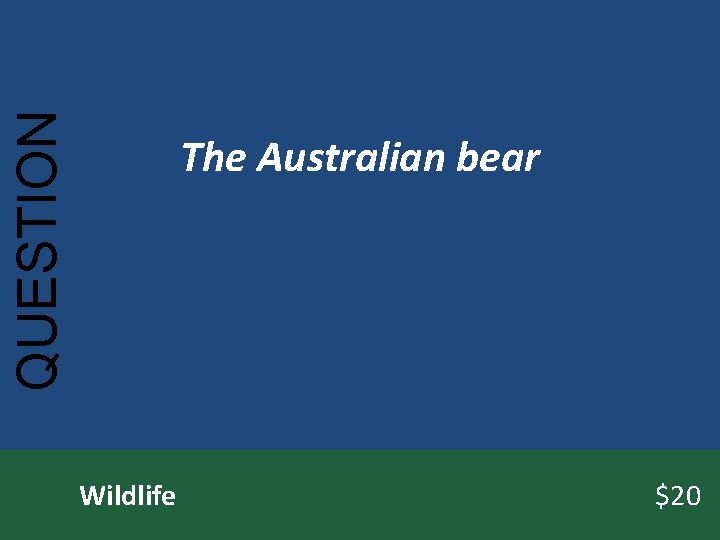 QUESTION The Australian bear Wildlife $20 