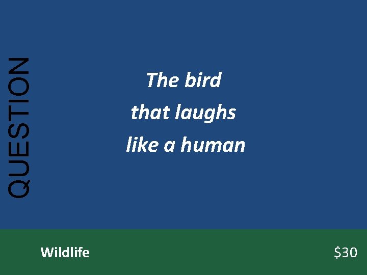 QUESTION The bird that laughs like a human Wildlife $30 