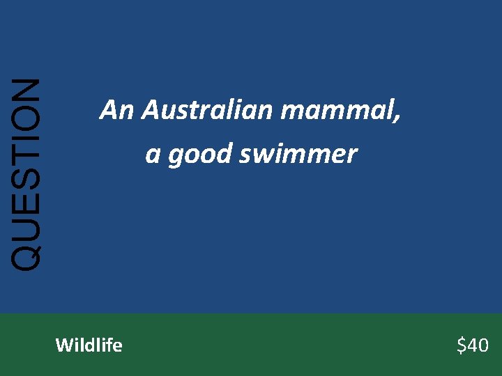 QUESTION An Australian mammal, a good swimmer Wildlife $40 