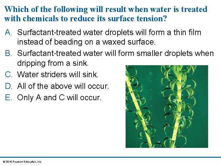 Which of the following will result when water is treated with chemicals to reduce