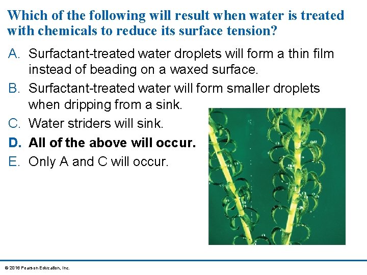 Which of the following will result when water is treated with chemicals to reduce
