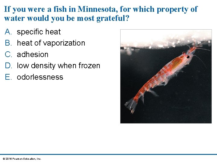 If you were a fish in Minnesota, for which property of water would you