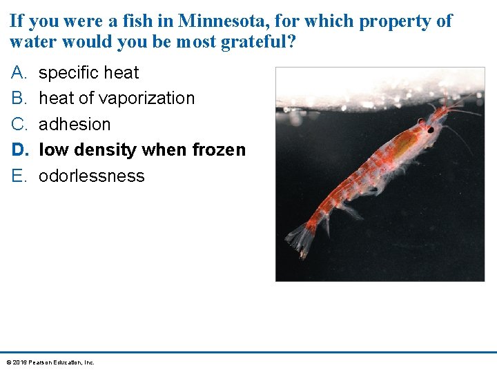 If you were a fish in Minnesota, for which property of water would you