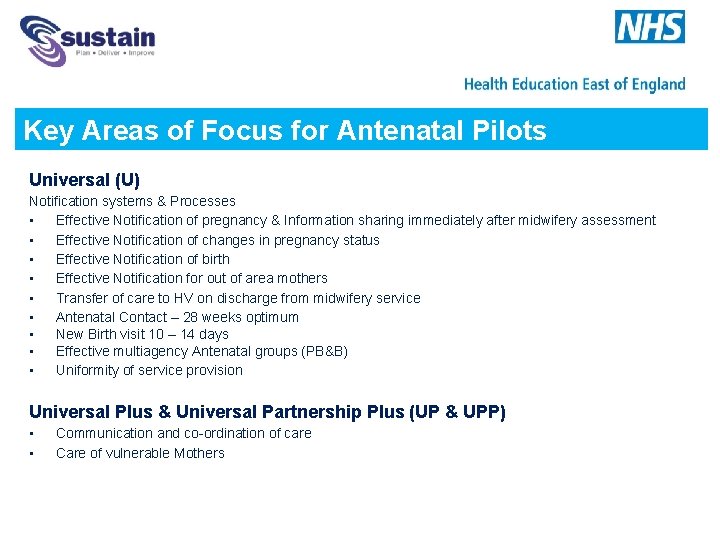 Key Areas of Focus for Antenatal Pilots Universal (U) Notification systems & Processes •