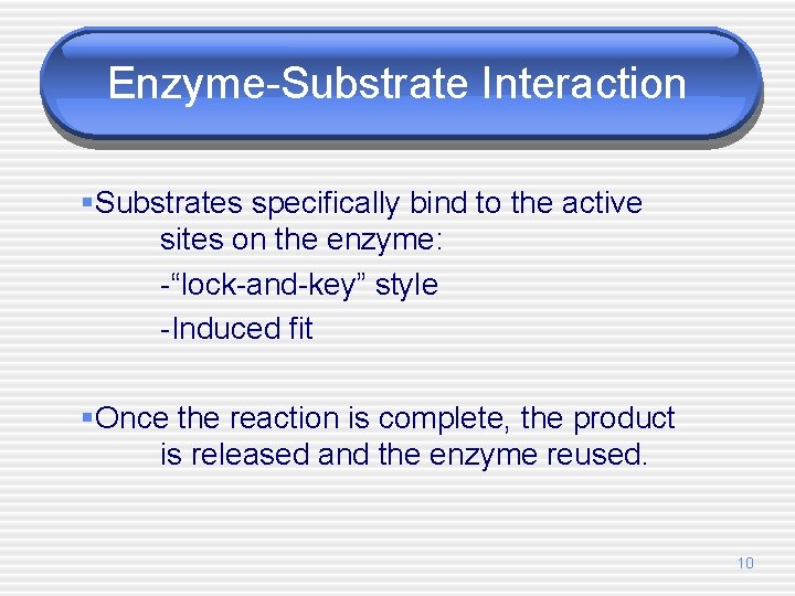 Enzyme-Substrate Interaction §Substrates specifically bind to the active sites on the enzyme: -“lock-and-key” style