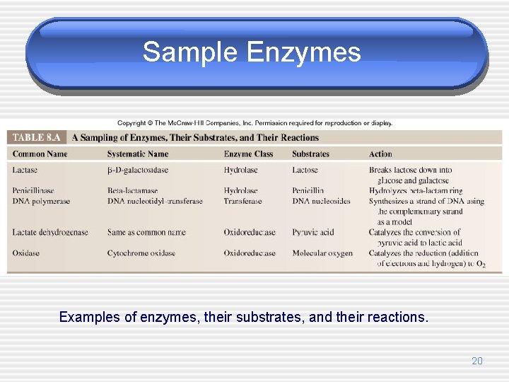 Sample Enzymes Examples of enzymes, their substrates, and their reactions. 20 