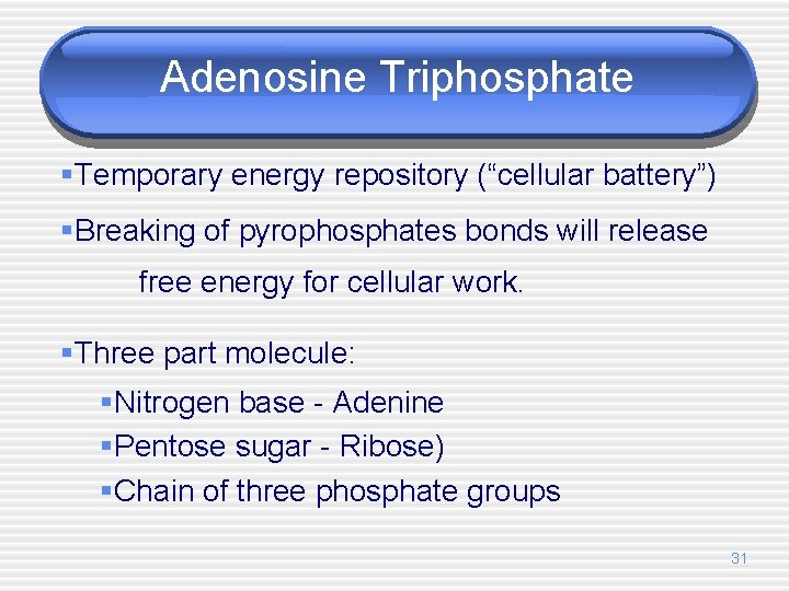 Adenosine Triphosphate §Temporary energy repository (“cellular battery”) §Breaking of pyrophosphates bonds will release free