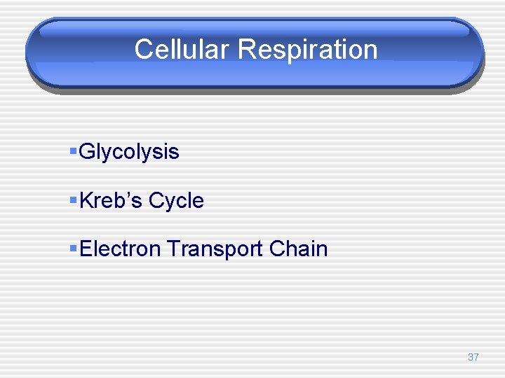 Cellular Respiration §Glycolysis §Kreb’s Cycle §Electron Transport Chain 37 