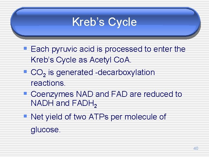 Kreb’s Cycle § Each pyruvic acid is processed to enter the Kreb’s Cycle as