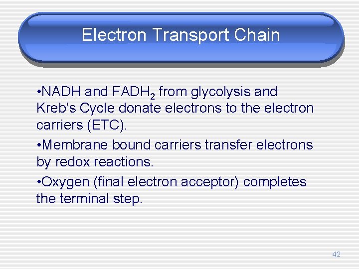 Electron Transport Chain • NADH and FADH 2 from glycolysis and Kreb’s Cycle donate