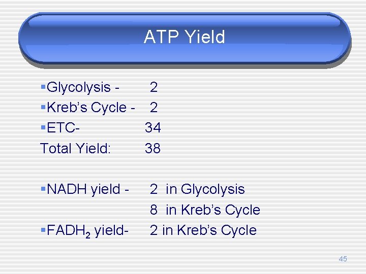 ATP Yield §Glycolysis 2 §Kreb’s Cycle - 2 §ETC 34 Total Yield: 38 §NADH