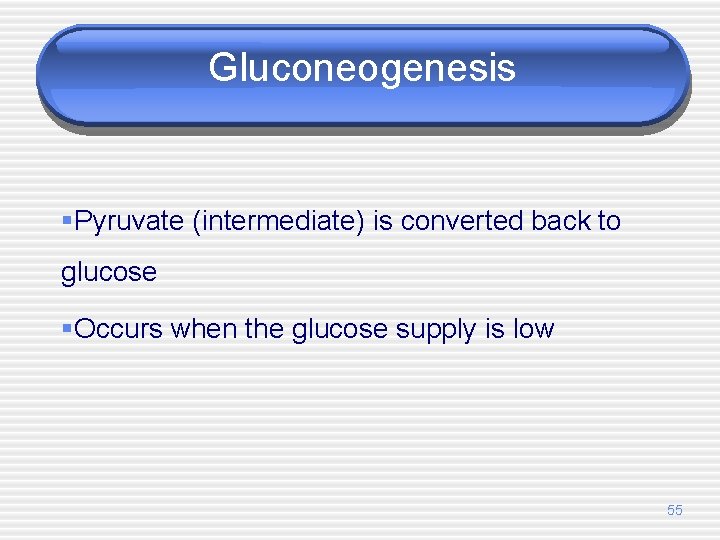 Gluconeogenesis §Pyruvate (intermediate) is converted back to glucose §Occurs when the glucose supply is
