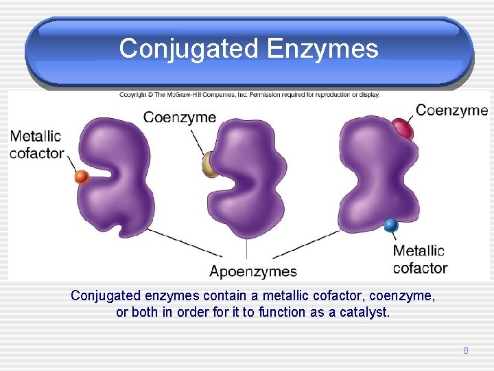 Conjugated Enzymes Conjugated enzymes contain a metallic cofactor, coenzyme, or both in order for
