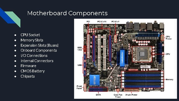 Motherboard Components ● ● ● ● ● CPU Socket Memory Slots Expansion Slots (Buses)