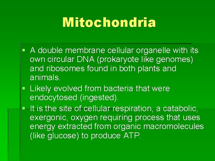 Mitochondria § A double membrane cellular organelle with its own circular DNA (prokaryote like