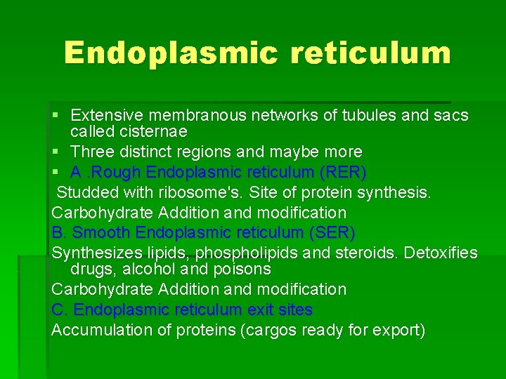 Endoplasmic reticulum § Extensive membranous networks of tubules and sacs called cisternae § Three