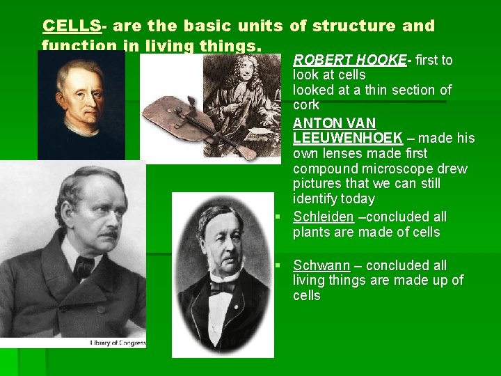 CELLS- are the basic units of structure and function in living things. § ROBERT