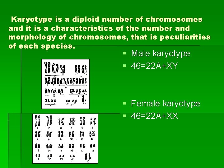 Karyotype is a diploid number of chromosomes and it is a characteristics of the