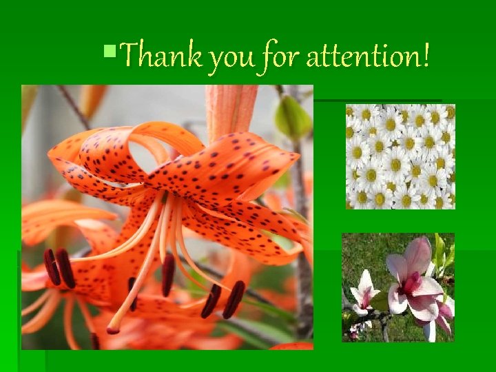 §Thank you for attention! 