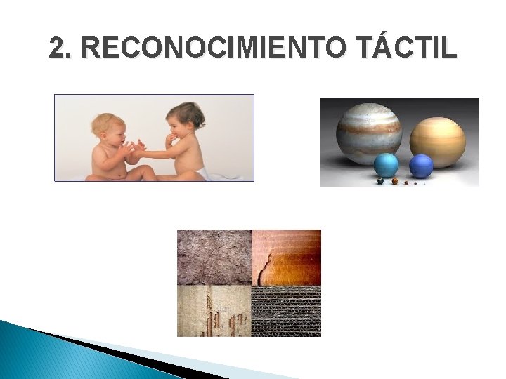 2. RECONOCIMIENTO TÁCTIL 