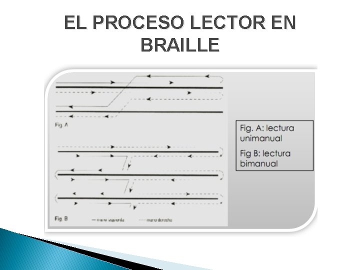 EL PROCESO LECTOR EN BRAILLE 