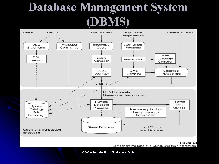 Database Management System (DBMS) CS 424 Introduction of Database System 