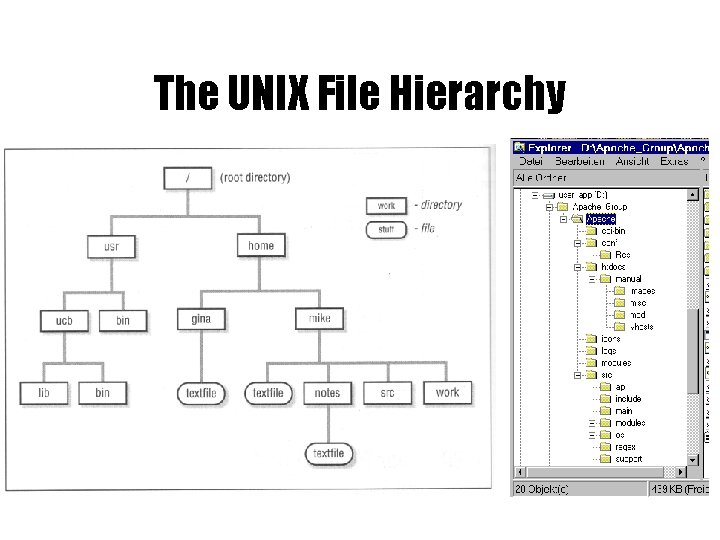 The UNIX File Hierarchy 