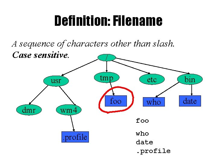 Definition: Filename A sequence of characters other than slash. Case sensitive. tmp usr dmr Definition: Filename A sequence of characters other than slash. Case sensitive. tmp usr dmr