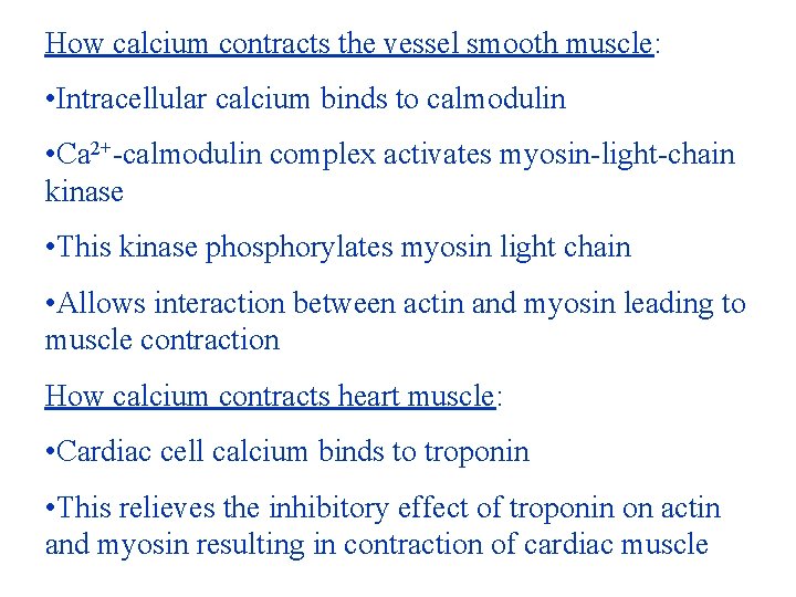 How calcium contracts the vessel smooth muscle: • Intracellular calcium binds to calmodulin • How calcium contracts the vessel smooth muscle: • Intracellular calcium binds to calmodulin •