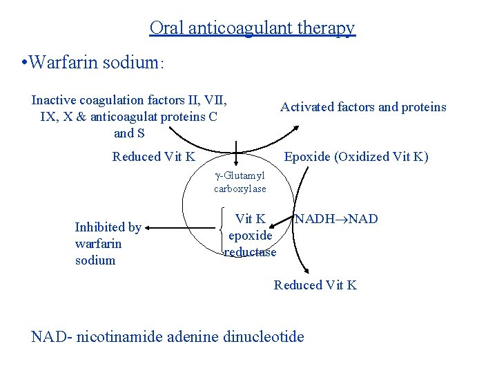 Oral anticoagulant therapy • Warfarin sodium: Inactive coagulation factors II, VII, IX, X &