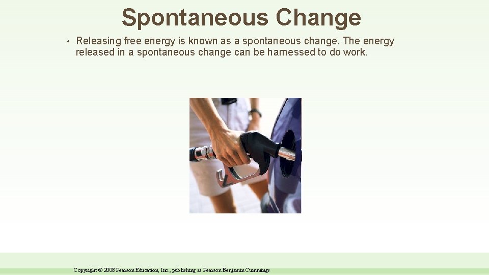 Spontaneous Change • Releasing free energy is known as a spontaneous change. The energy