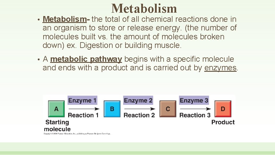 Metabolism • Metabolism- the total of all chemical reactions done in an organism to