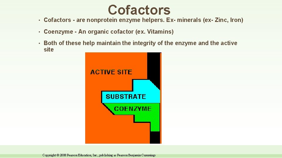 Cofactors • Cofactors - are nonprotein enzyme helpers. Ex- minerals (ex- Zinc, Iron) •