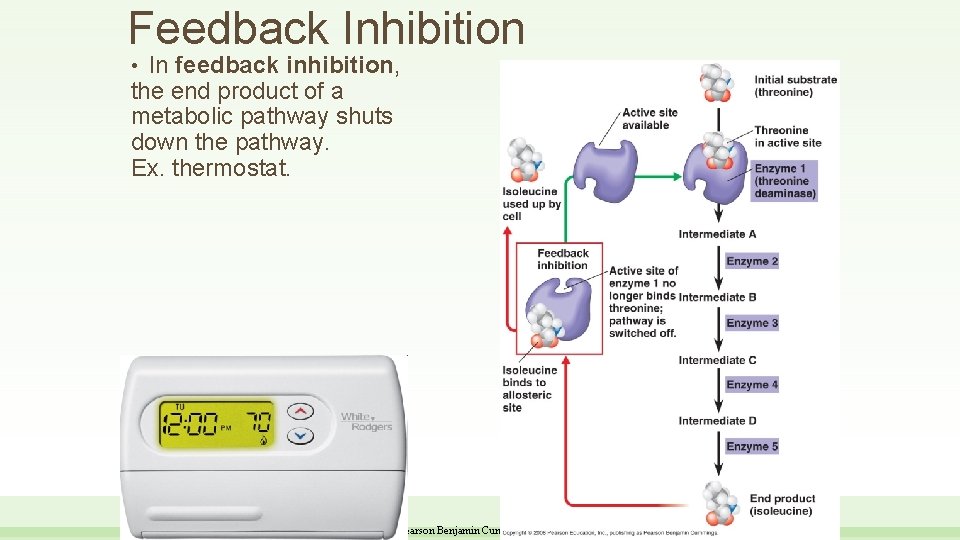 Feedback Inhibition In feedback inhibition, the end product of a metabolic pathway shuts down