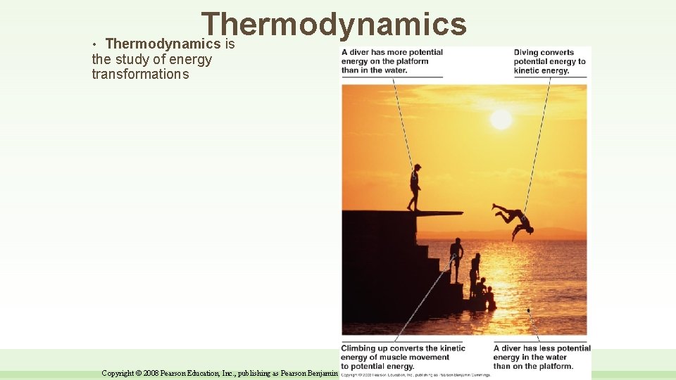  • Thermodynamics is the study of energy transformations Copyright © 2008 Pearson Education,