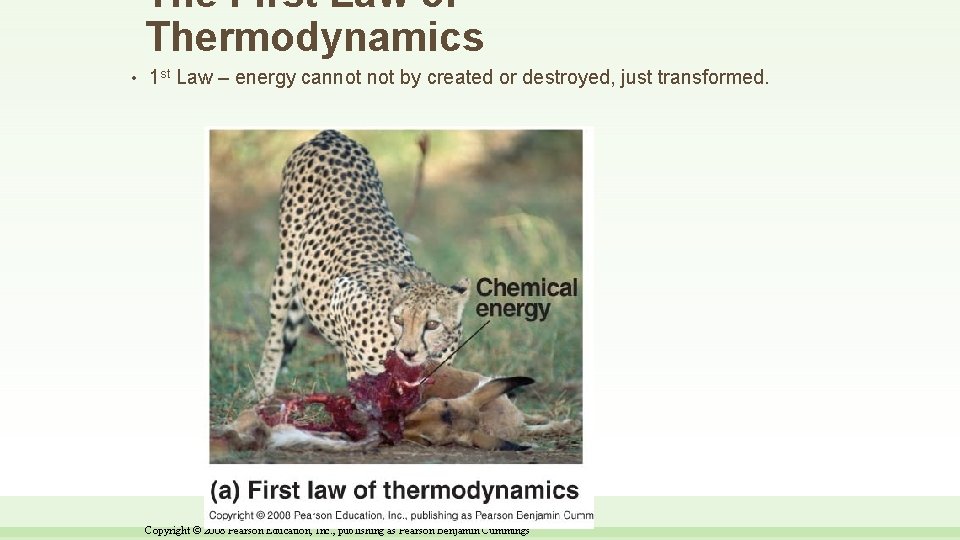 The First Law of Thermodynamics • 1 st Law – energy cannot by created