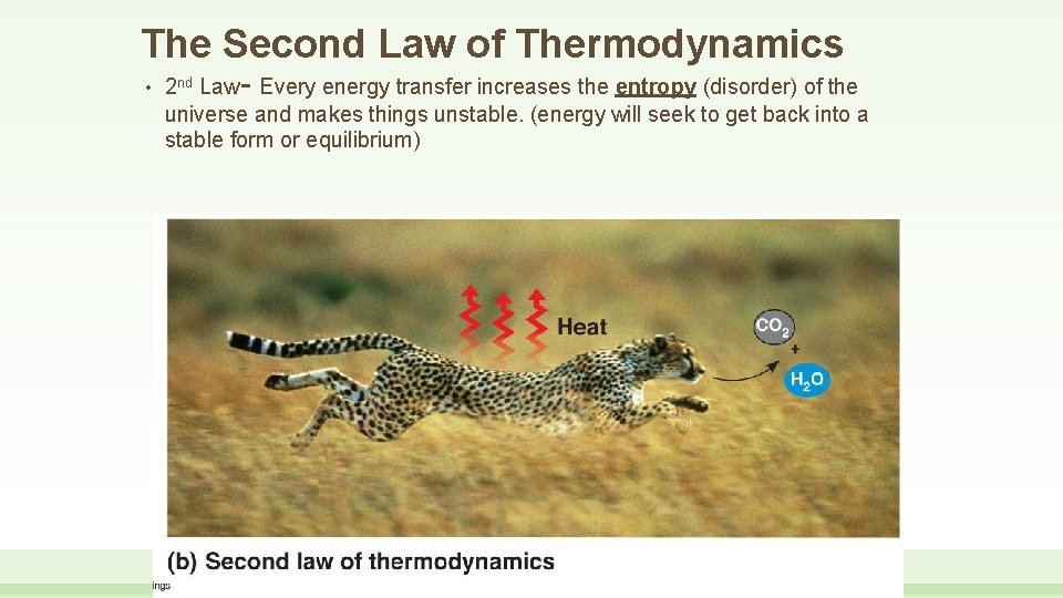 The Second Law of Thermodynamics • 2 nd Law- Every energy transfer increases the