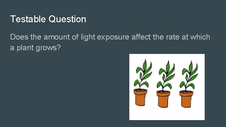 Testable Question Does the amount of light exposure affect the rate at which a