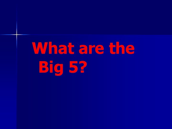 What are the Big 5? 