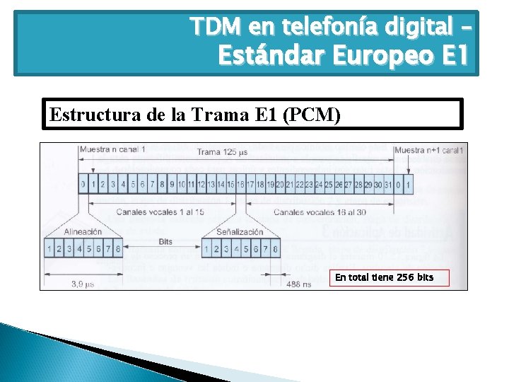 TDM en telefonía digital – Estándar Europeo E 1 Estructura de la Trama E