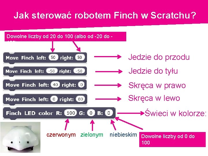 Jak sterować robotem Finch w Scratchu? Dowolne liczby od 20 do 100 (albo od