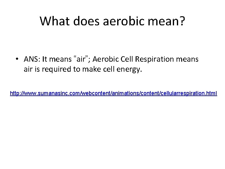 What does aerobic mean? • ANS: It means “air”; Aerobic Cell Respiration means air