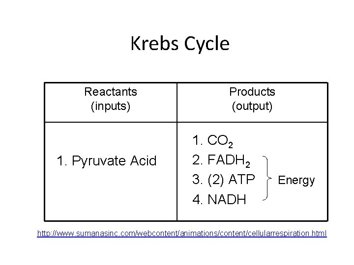 Krebs Cycle Reactants (inputs) 1. Pyruvate Acid Products (output) 1. CO 2 2. FADH